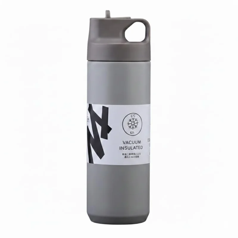 Garrafa Térmica Aço Inox 500ML Fitness Esportes Com Canudo e Parede Dupla (Cinza)