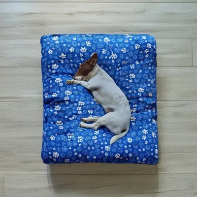 Cama Colchonete Almofada para Cachorro ou Gato Pet Pequeno Médio e Grande Lavável com Zíper