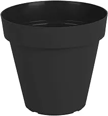 Vaso Sampa 20 x 19 cm Preto